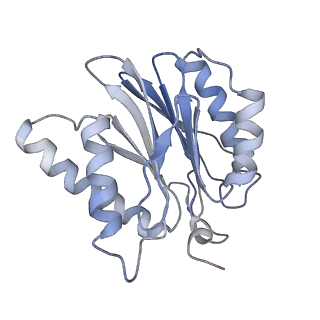 3535_5mpa_3_v1-1
26S proteasome in presence of ATP (s2)