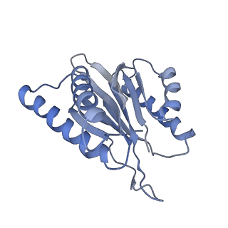 3535_5mpa_4_v1-1
26S proteasome in presence of ATP (s2)