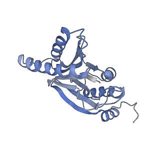 3535_5mpa_5_v1-1
26S proteasome in presence of ATP (s2)