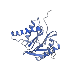 3535_5mpa_6_v1-1
26S proteasome in presence of ATP (s2)