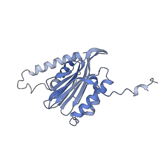 3535_5mpa_7_v1-1
26S proteasome in presence of ATP (s2)