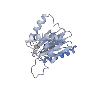 3535_5mpa_A_v1-1
26S proteasome in presence of ATP (s2)