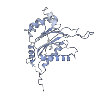 3535_5mpa_B_v1-1
26S proteasome in presence of ATP (s2)