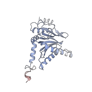 3535_5mpa_C_v1-1
26S proteasome in presence of ATP (s2)
