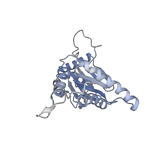 3535_5mpa_D_v1-1
26S proteasome in presence of ATP (s2)