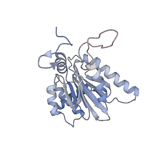 3535_5mpa_E_v1-1
26S proteasome in presence of ATP (s2)
