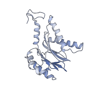 3535_5mpa_F_v1-1
26S proteasome in presence of ATP (s2)