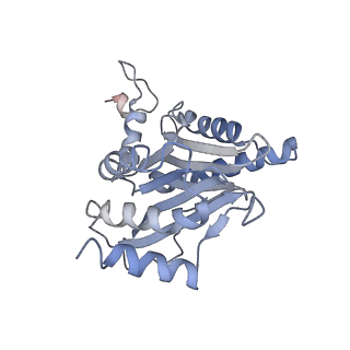 3535_5mpa_G_v1-1
26S proteasome in presence of ATP (s2)