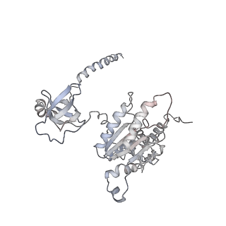 3535_5mpa_H_v1-1
26S proteasome in presence of ATP (s2)