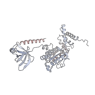 3535_5mpa_I_v1-1
26S proteasome in presence of ATP (s2)