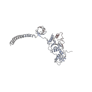 3535_5mpa_M_v1-1
26S proteasome in presence of ATP (s2)