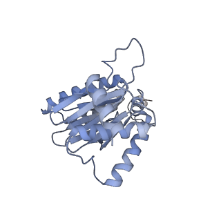 3535_5mpa_a_v1-1
26S proteasome in presence of ATP (s2)