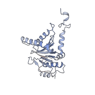 3535_5mpa_c_v1-1
26S proteasome in presence of ATP (s2)