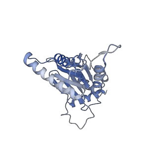 3535_5mpa_d_v1-1
26S proteasome in presence of ATP (s2)