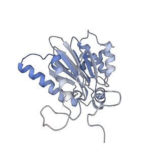 3535_5mpa_e_v1-1
26S proteasome in presence of ATP (s2)