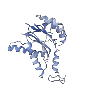 3535_5mpa_f_v1-1
26S proteasome in presence of ATP (s2)