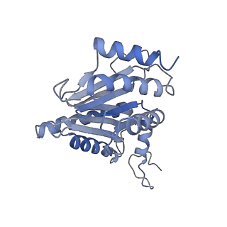 3535_5mpa_g_v1-1
26S proteasome in presence of ATP (s2)