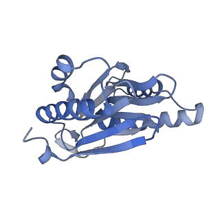3535_5mpa_h_v1-1
26S proteasome in presence of ATP (s2)