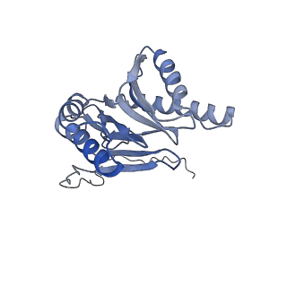 3535_5mpa_i_v1-1
26S proteasome in presence of ATP (s2)
