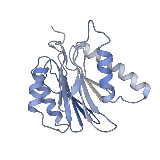 3535_5mpa_j_v1-1
26S proteasome in presence of ATP (s2)
