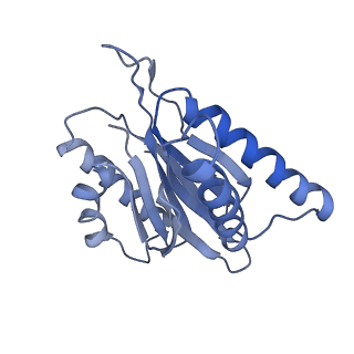 3535_5mpa_k_v1-1
26S proteasome in presence of ATP (s2)
