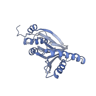 3535_5mpa_l_v1-1
26S proteasome in presence of ATP (s2)