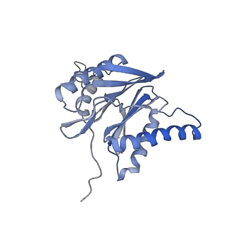 3535_5mpa_m_v1-1
26S proteasome in presence of ATP (s2)