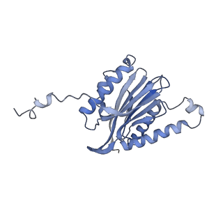 3535_5mpa_n_v1-1
26S proteasome in presence of ATP (s2)