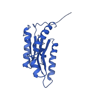 3538_5mpp_G_v1-3
Structure of AaLS-wt