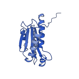 3538_5mpp_O_v1-3
Structure of AaLS-wt
