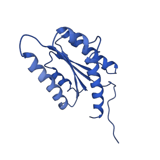 3538_5mpp_W_v1-3
Structure of AaLS-wt