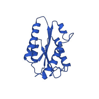 3538_5mpp_g_v1-3
Structure of AaLS-wt