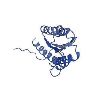 3538_5mpp_s_v1-3
Structure of AaLS-wt