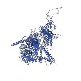 3539_5mps_A_v1-6
Structure of a spliceosome remodeled for exon ligation