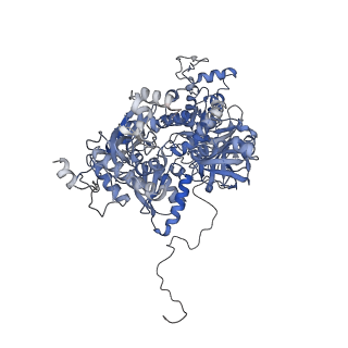 3539_5mps_C_v1-6
Structure of a spliceosome remodeled for exon ligation