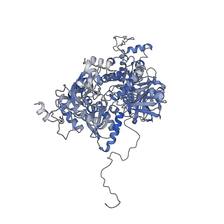 3539_5mps_C_v2-0
Structure of a spliceosome remodeled for exon ligation