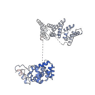 3539_5mps_H_v1-6
Structure of a spliceosome remodeled for exon ligation