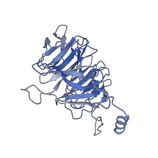 3539_5mps_J_v1-6
Structure of a spliceosome remodeled for exon ligation