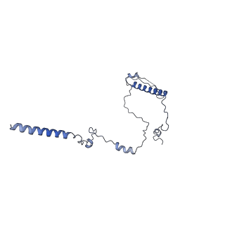 3539_5mps_K_v1-6
Structure of a spliceosome remodeled for exon ligation