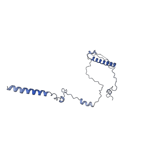 3539_5mps_K_v2-0
Structure of a spliceosome remodeled for exon ligation