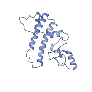 3539_5mps_L_v1-6
Structure of a spliceosome remodeled for exon ligation