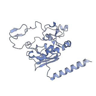 3539_5mps_M_v1-6
Structure of a spliceosome remodeled for exon ligation