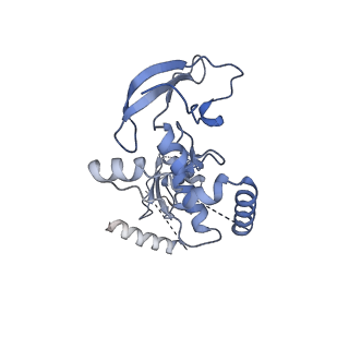 3539_5mps_N_v1-6
Structure of a spliceosome remodeled for exon ligation