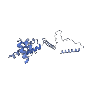 3539_5mps_O_v1-6
Structure of a spliceosome remodeled for exon ligation