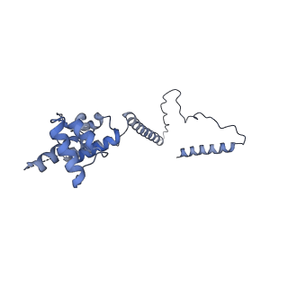 3539_5mps_O_v2-0
Structure of a spliceosome remodeled for exon ligation