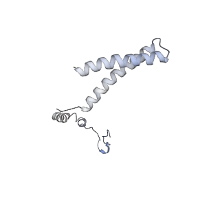 3539_5mps_R_v1-6
Structure of a spliceosome remodeled for exon ligation