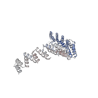 3539_5mps_S_v1-6
Structure of a spliceosome remodeled for exon ligation
