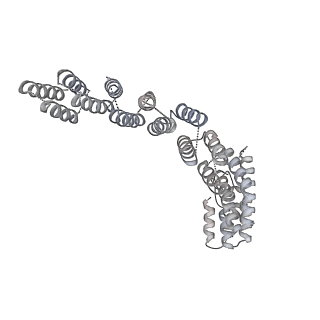 3539_5mps_T_v1-6
Structure of a spliceosome remodeled for exon ligation
