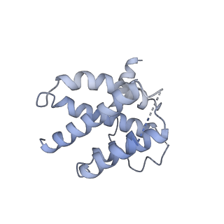 3539_5mps_a_v1-6
Structure of a spliceosome remodeled for exon ligation