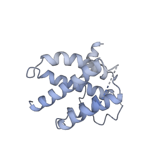3539_5mps_a_v2-0
Structure of a spliceosome remodeled for exon ligation
